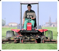produzione e vendita-tappeti-erbosi-parma-modena-reggio